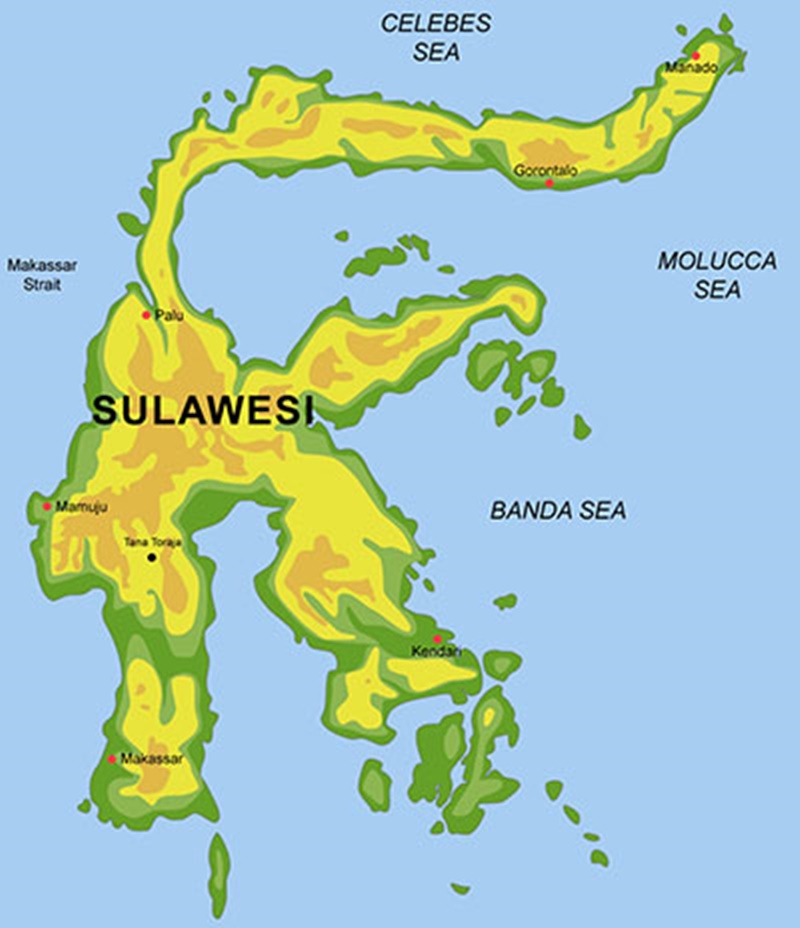 Suku bangsa yang terdapat di pulau sulawesi adalah