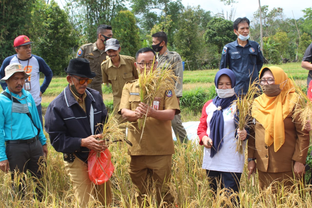 Bersama BPS  dan Dinas Tanaman  Pangan  dan Holtikuktura 