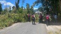 Patroli Satuan Samapta yang turut membantu pembersihan jalan akibat pohon tumbang di desa Pinabetengan Utara